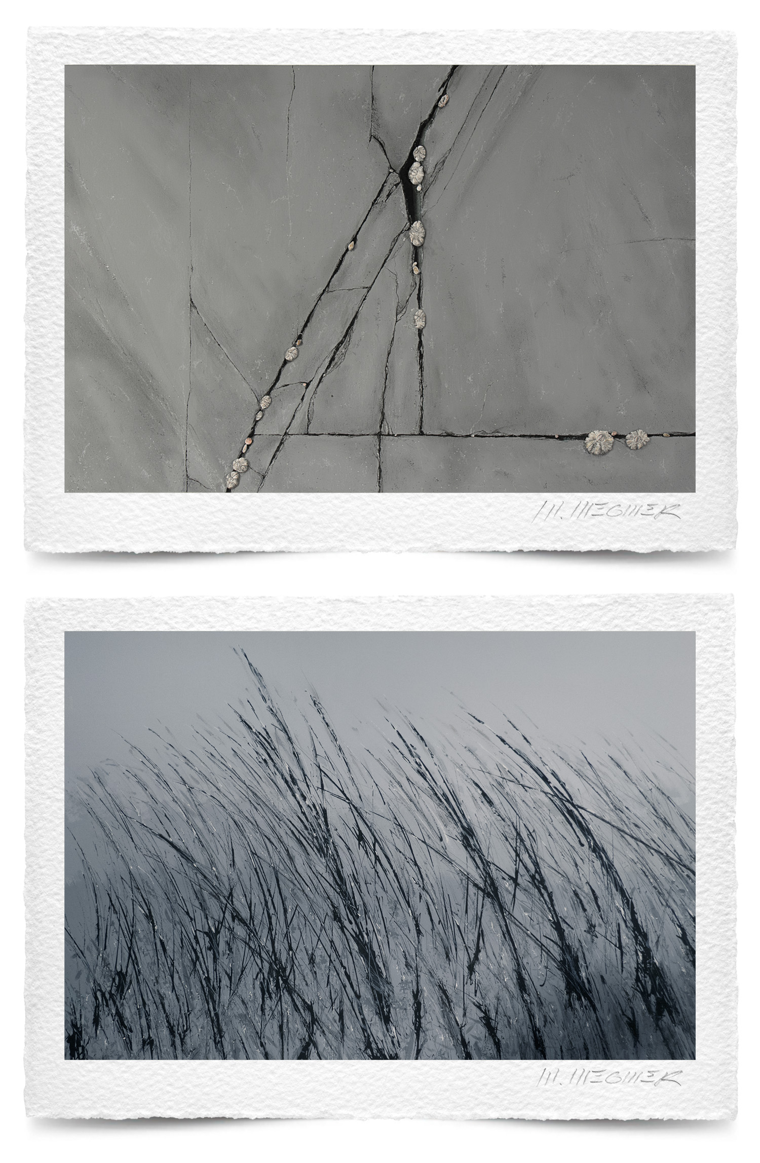 Mark Wegner, Photographer - www.markwegner.com