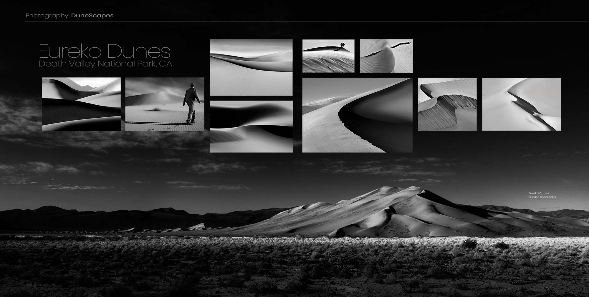 ©Mark Wegner - www.markwegner.com