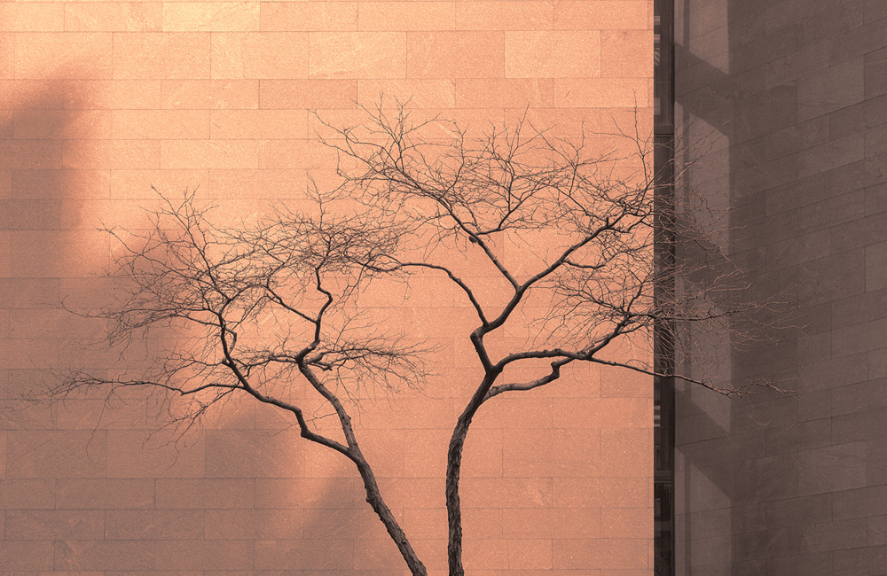Mark Wegner, Painter/Photographer - www.markwegner.com