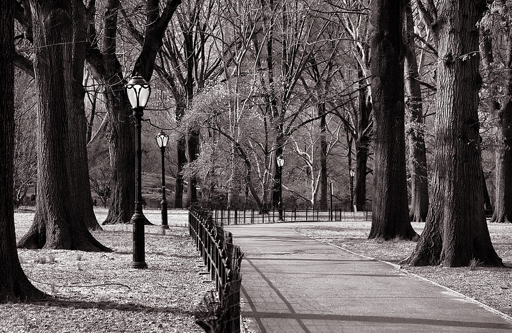 Mark Wegner, Painter/Photographer - www.markwegner.com