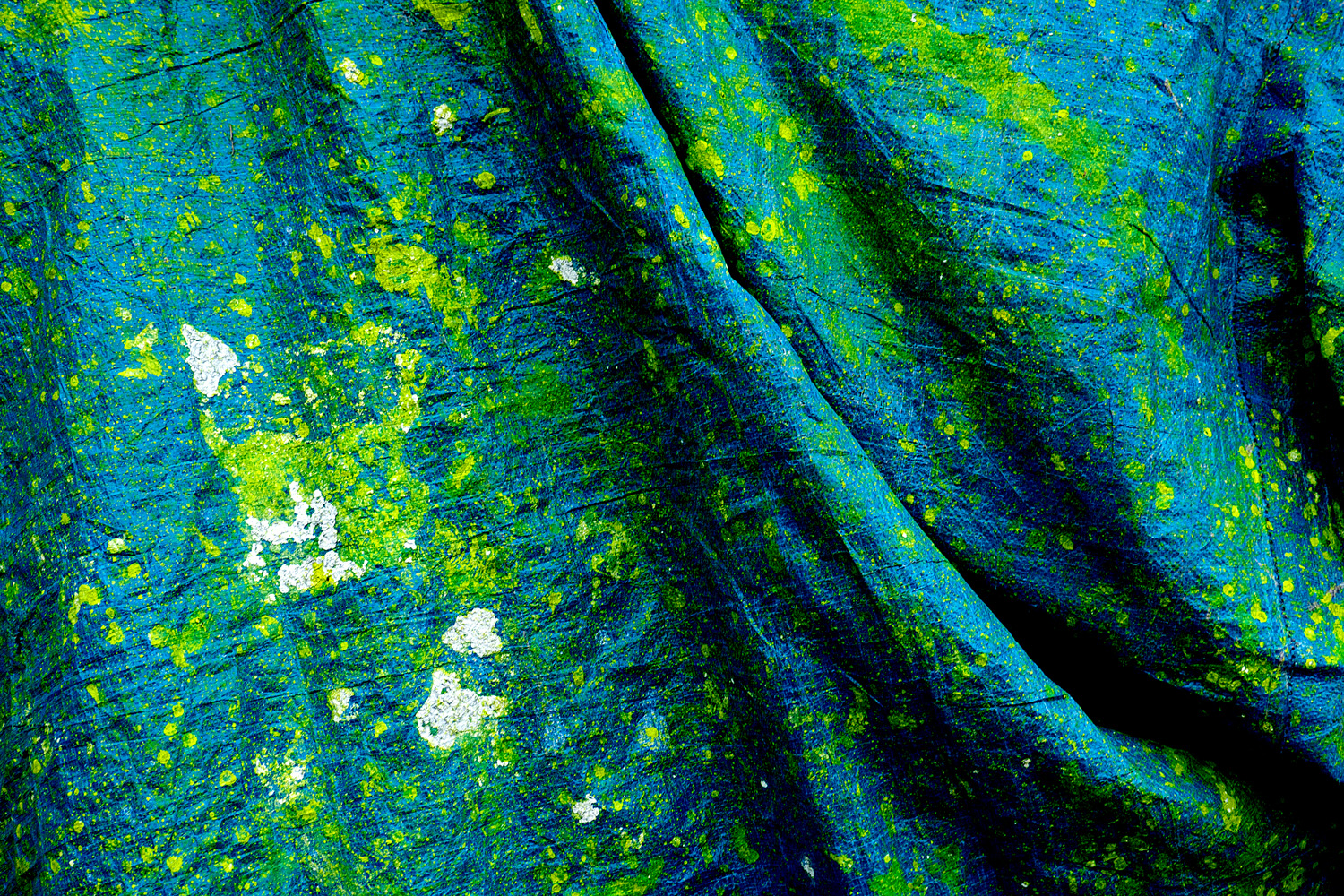Mark Wegner, Photographer - www.markwegner.com