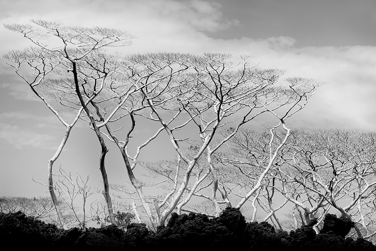 Mark Wegner, Photographer - www.markwegner.com