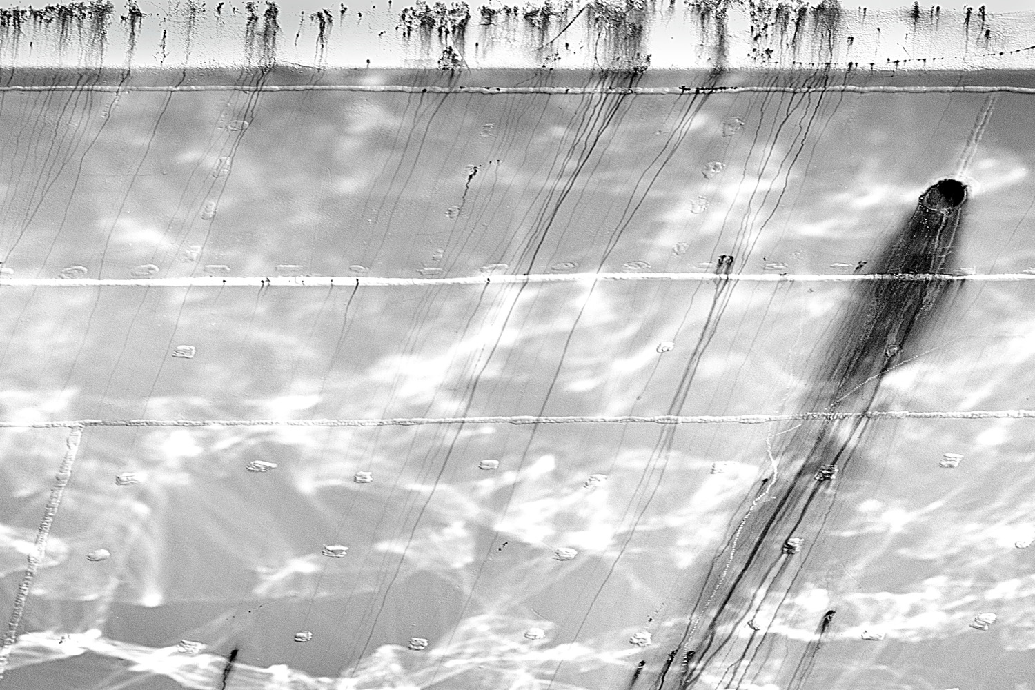 Mark Wegner, Photographer - www.markwegner.com