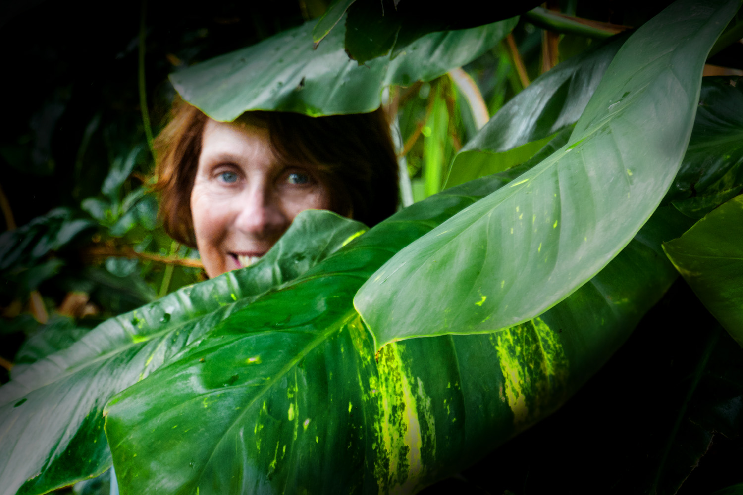 Mark Wegner, Photographer - www.markwegner.com