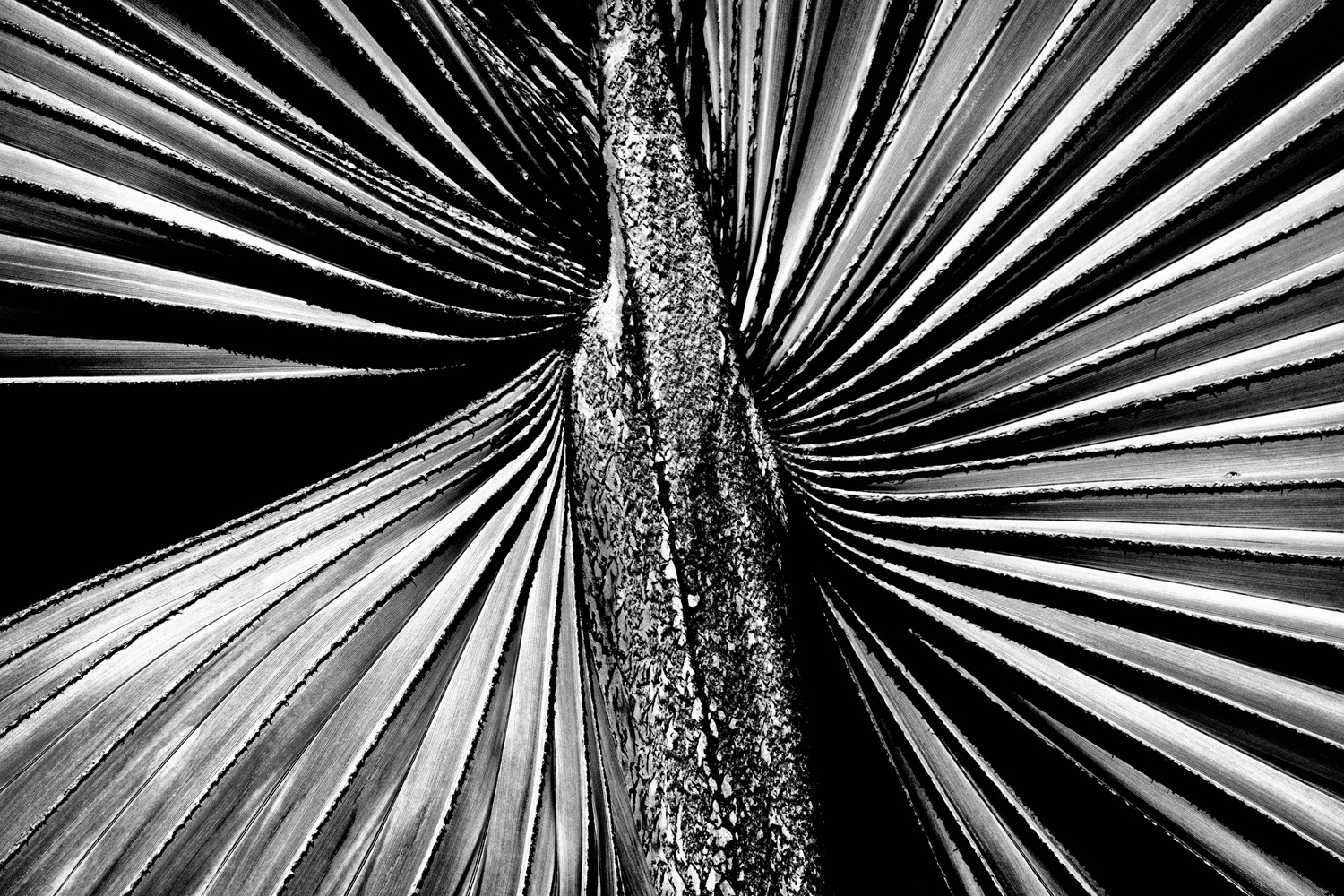 Mark Wegner, Photographer - www.markwegner.com
