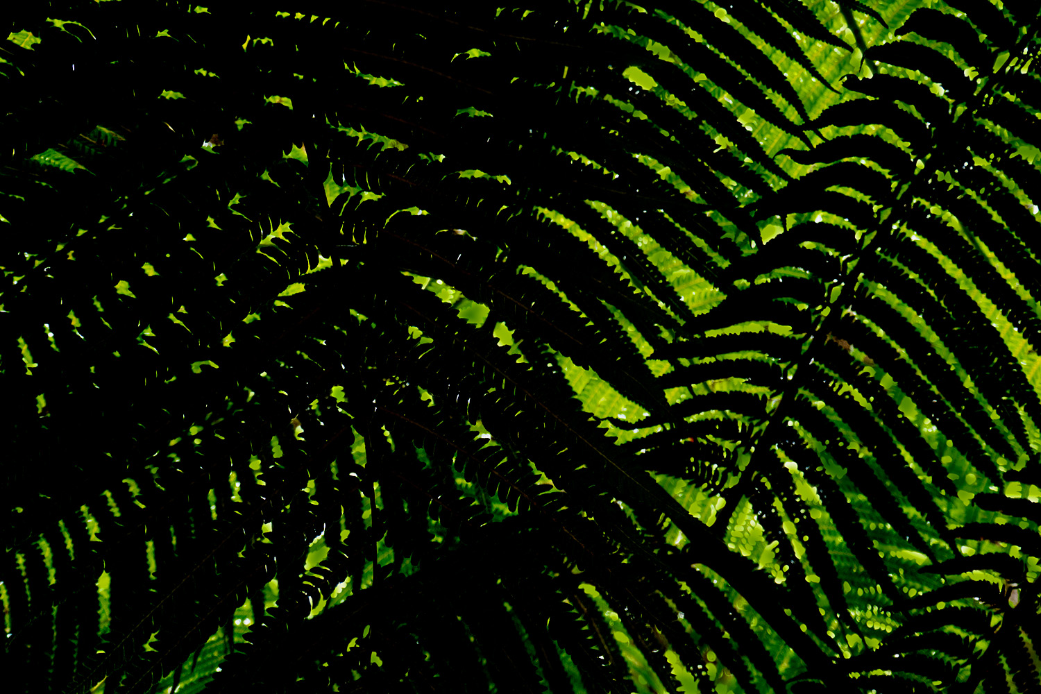 Mark Wegner, Photographer - www.markwegner.com