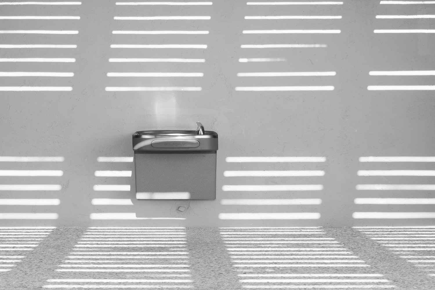 Mark Wegner, Photographer - www.markwegner.com