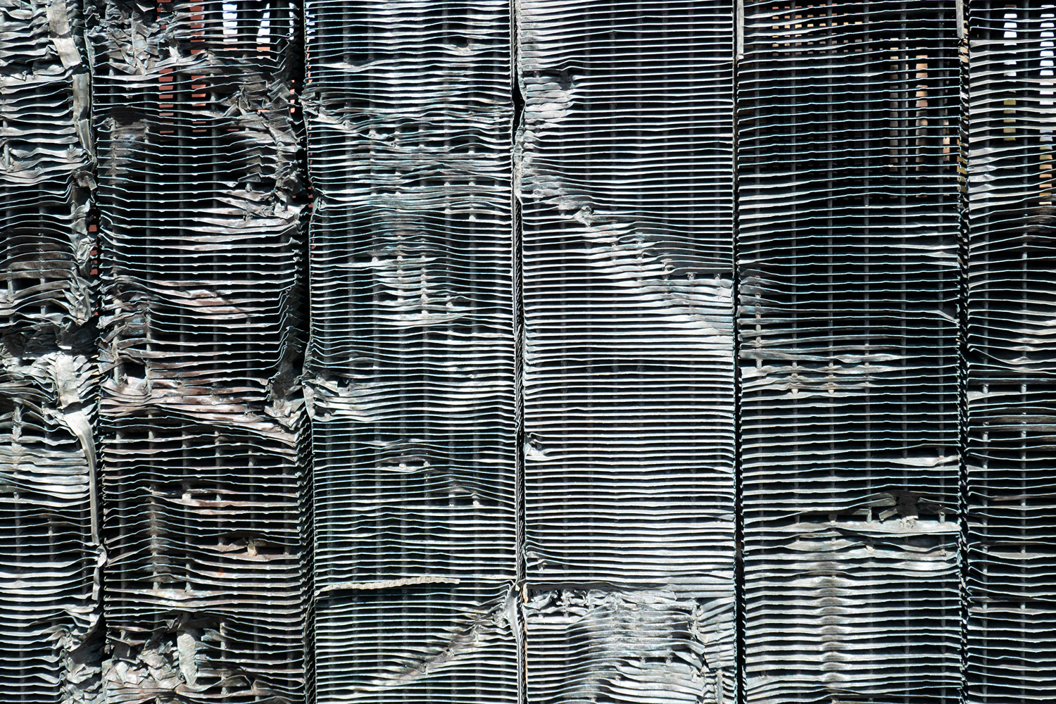 Mark Wegner, Photographer - www.markwegner.com