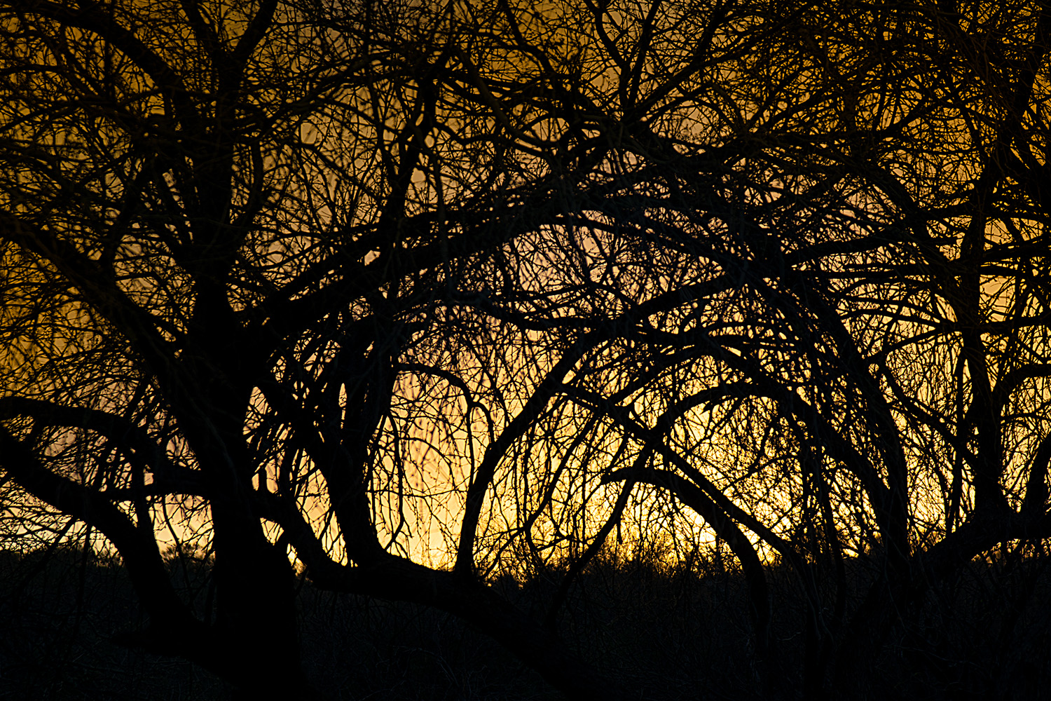 Mark Wegner, Photographer - www.markwegner.com