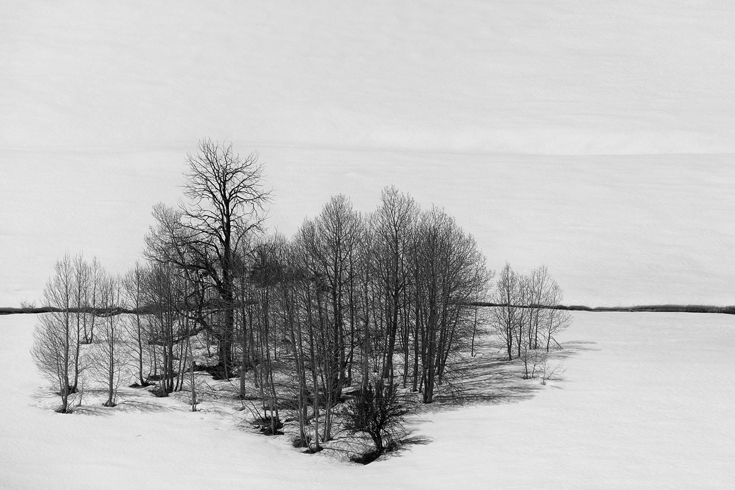 Mark Wegner, Photographer - www.markwegner.com