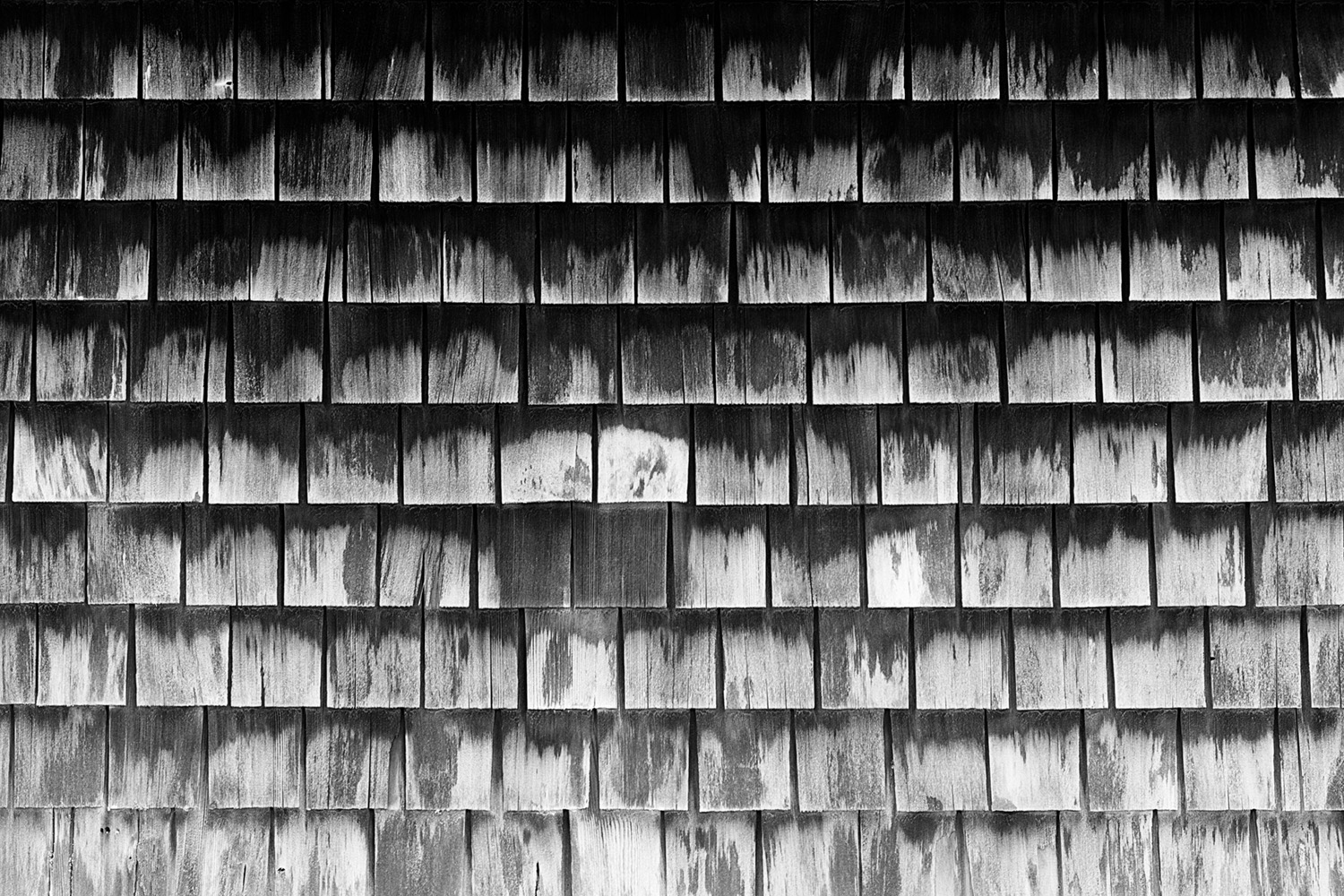 Mark Wegner, Photographer - www.markwegner.com