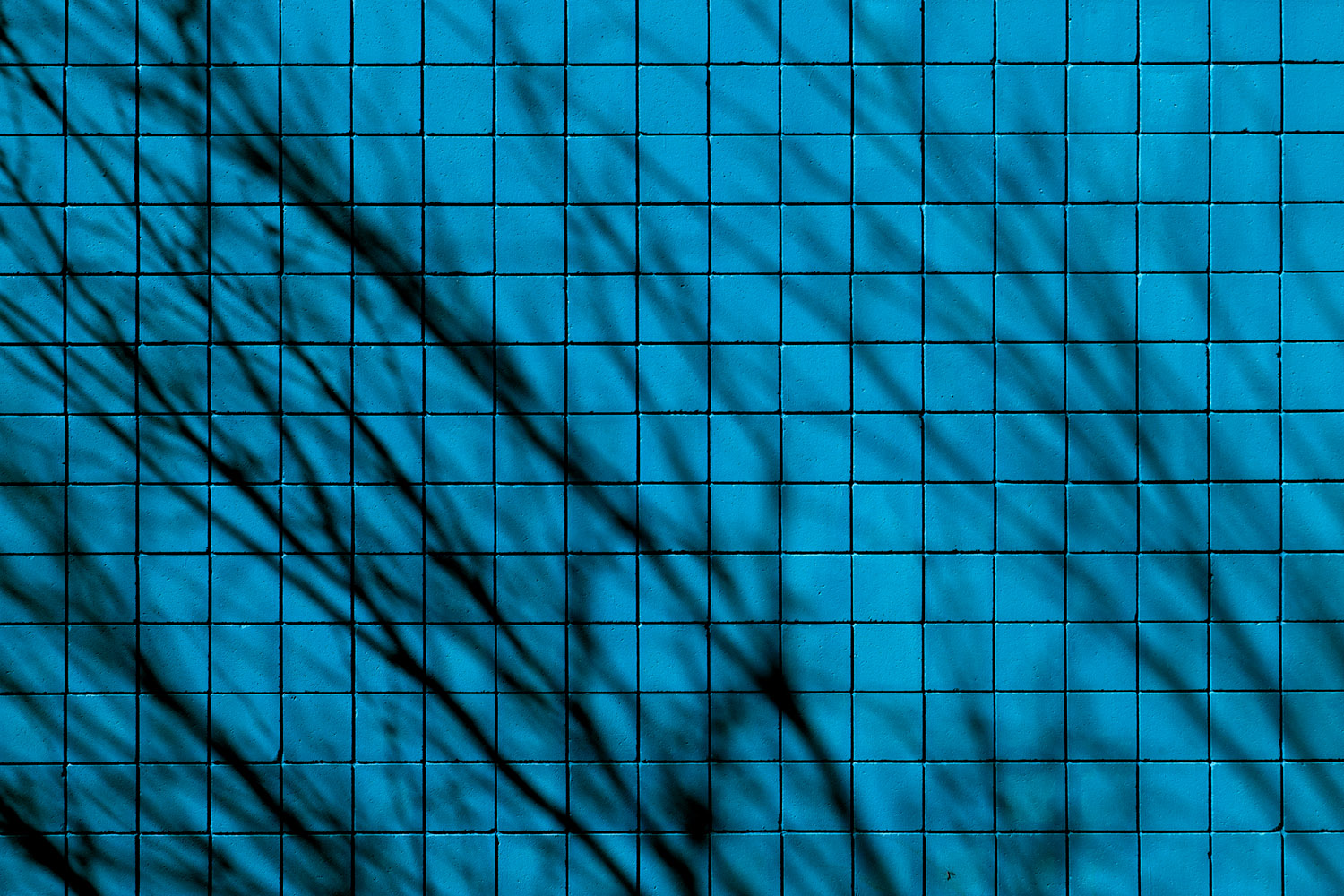 Mark Wegner, Photographer - www.markwegner.com
