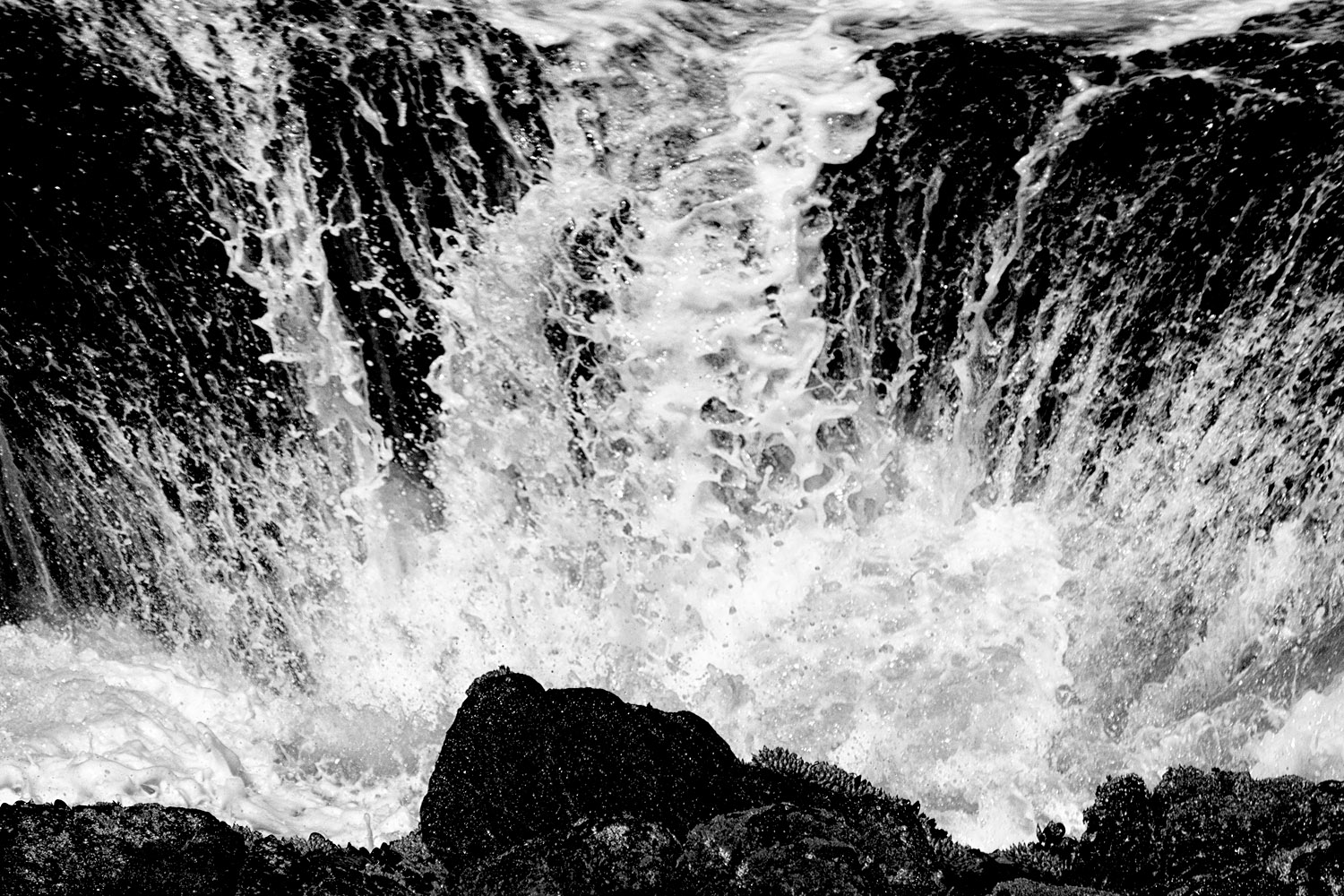 Mark Wegner, Photographer - www.markwegner.com