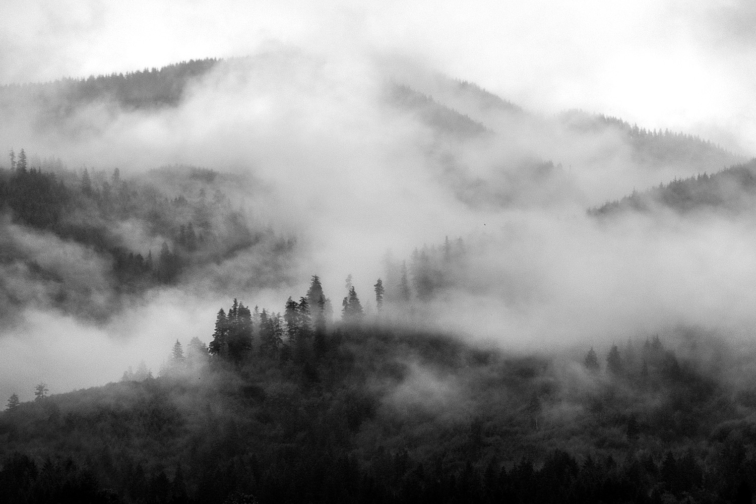 Mark Wegner, Photographer - www.markwegner.com