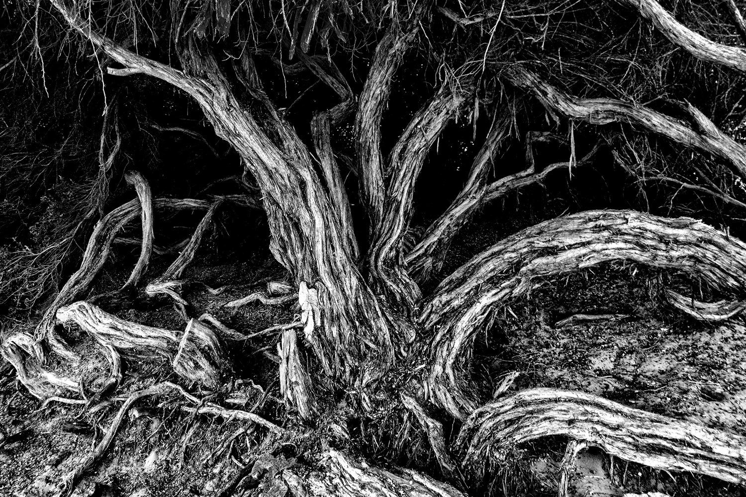 Mark Wegner, Photographer - www.markwegner.com