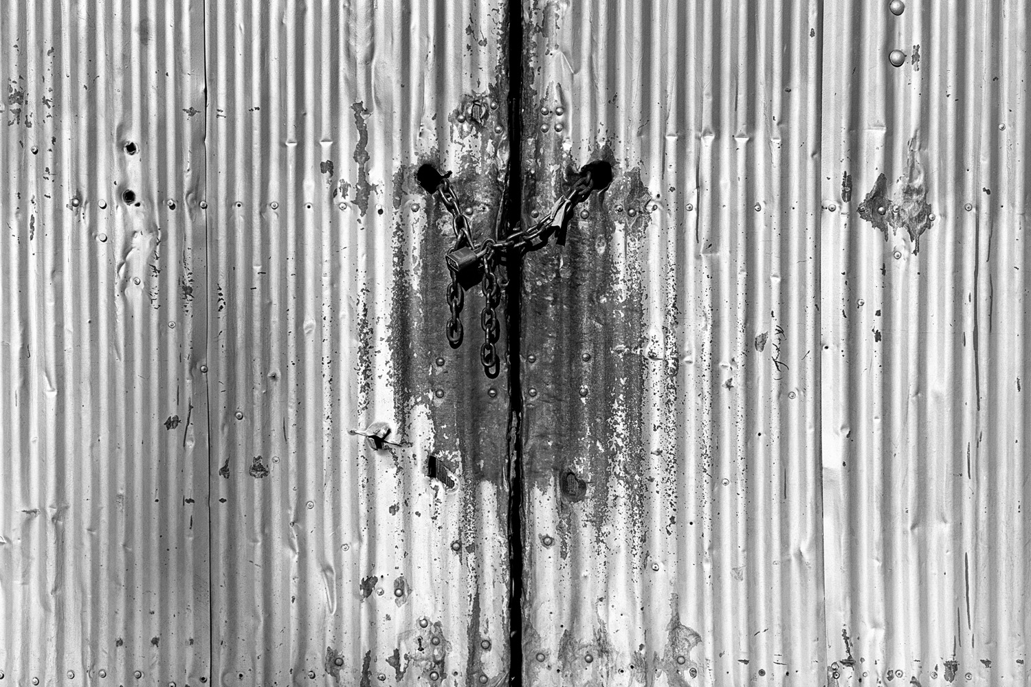 Mark Wegner, Photographer - www.markwegner.com