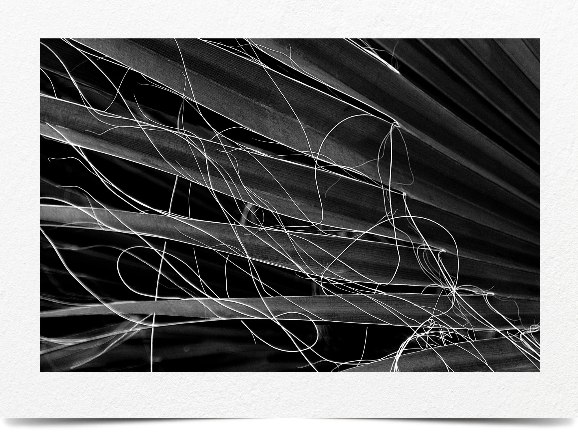 Mark Wegner, Photographer - www.markwegner.com