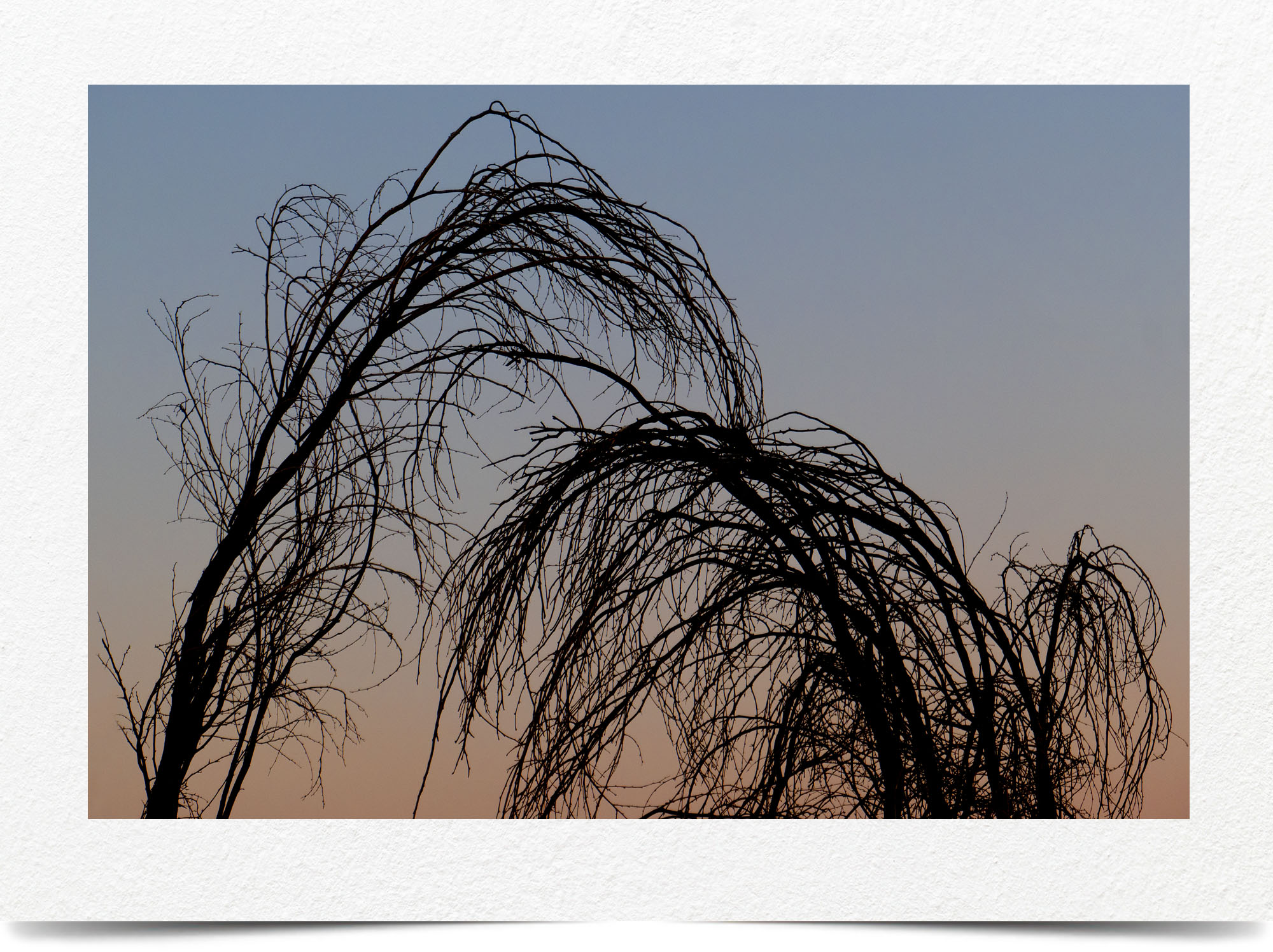 Mark Wegner, Photographer - www.markwegner.com