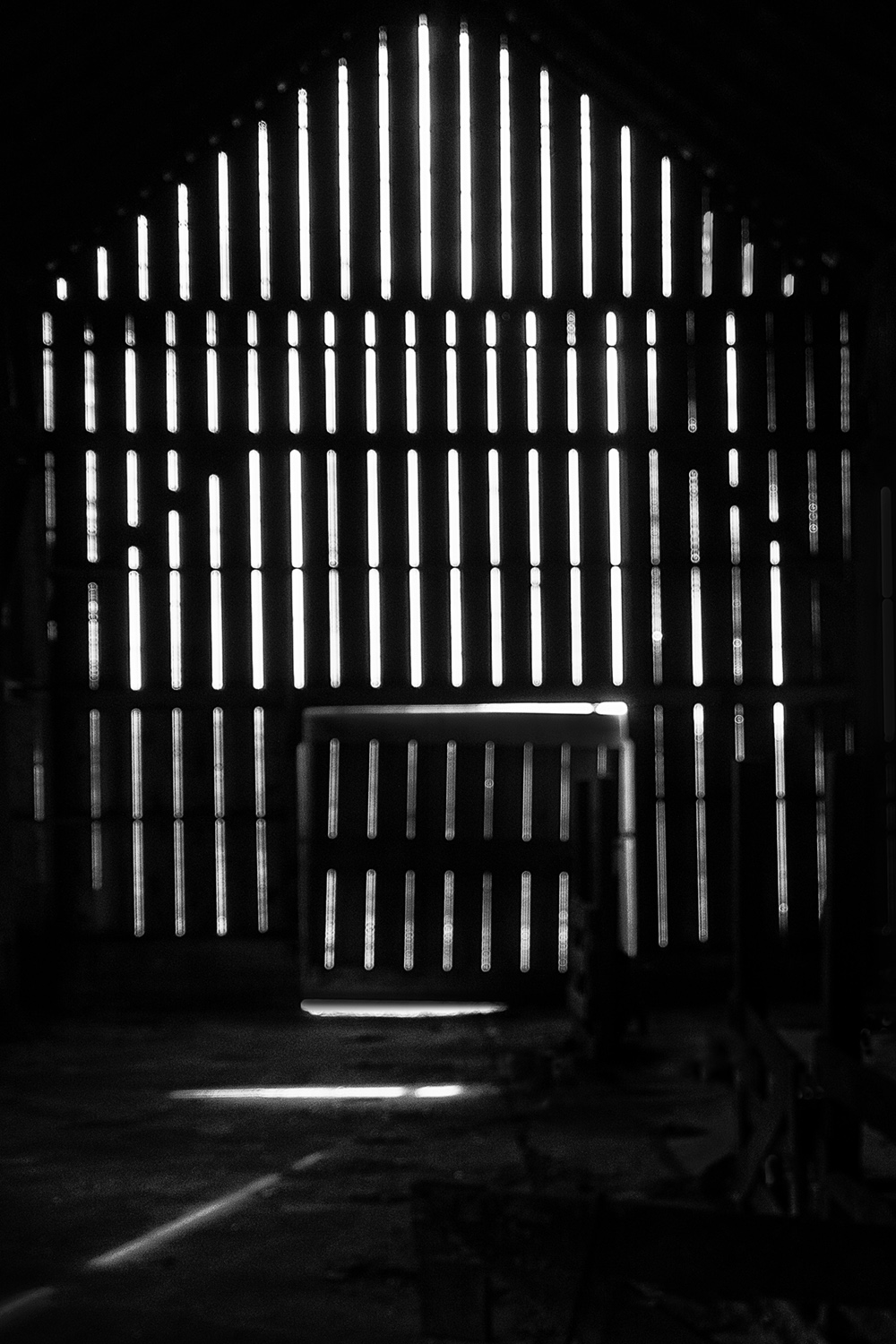 Mark Wegner, Photographer - www.markwegner.com