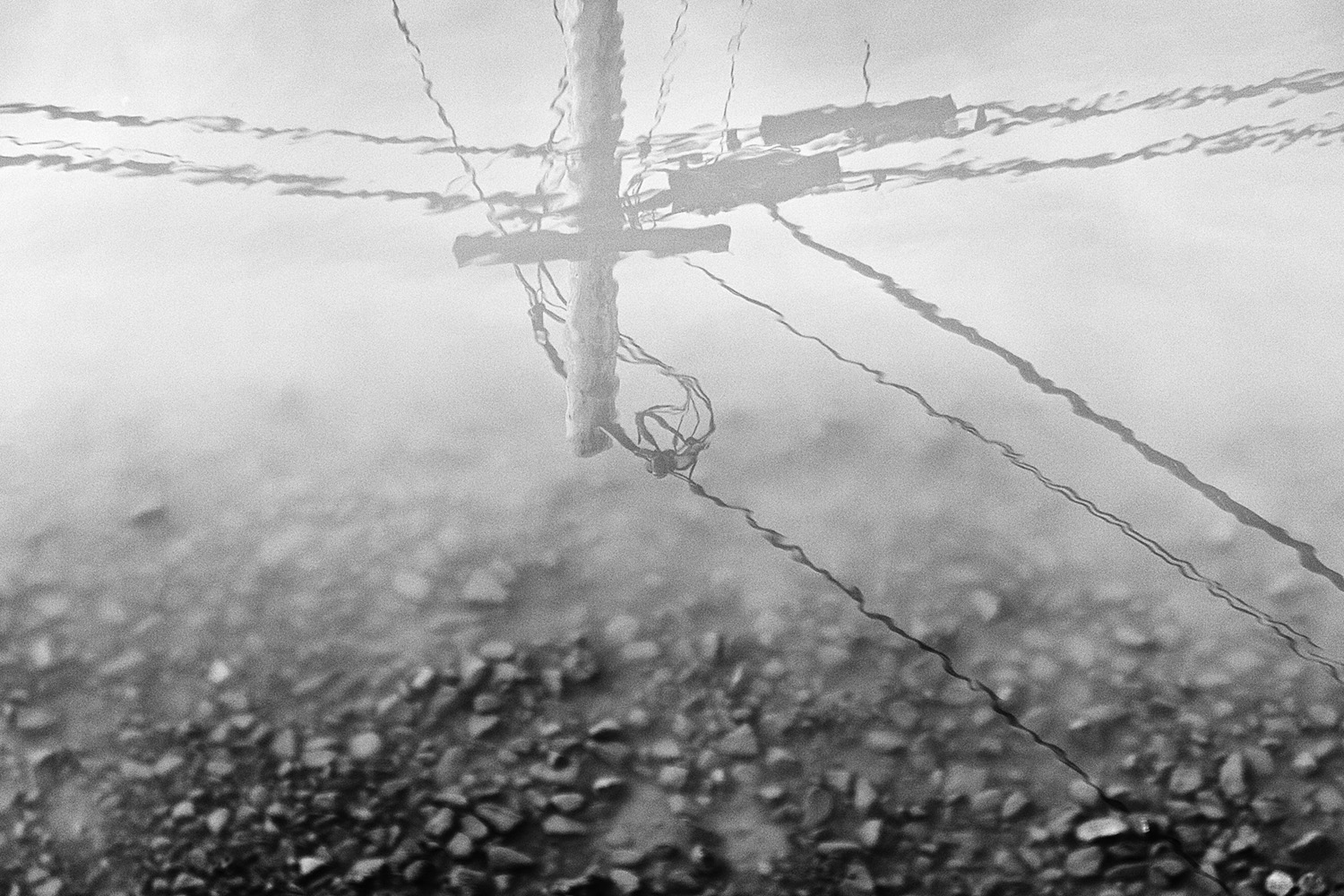 Mark Wegner, Photographer - www.markwegner.com