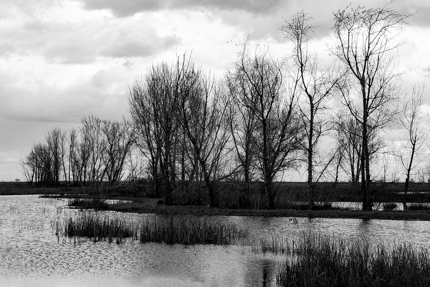 Mark Wegner, Photographer - www.markwegner.com