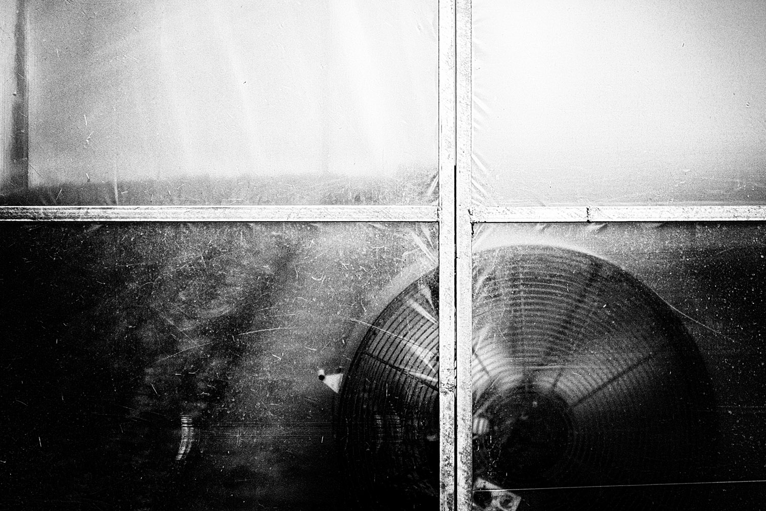 Mark Wegner, Photographer - www.markwegner.com