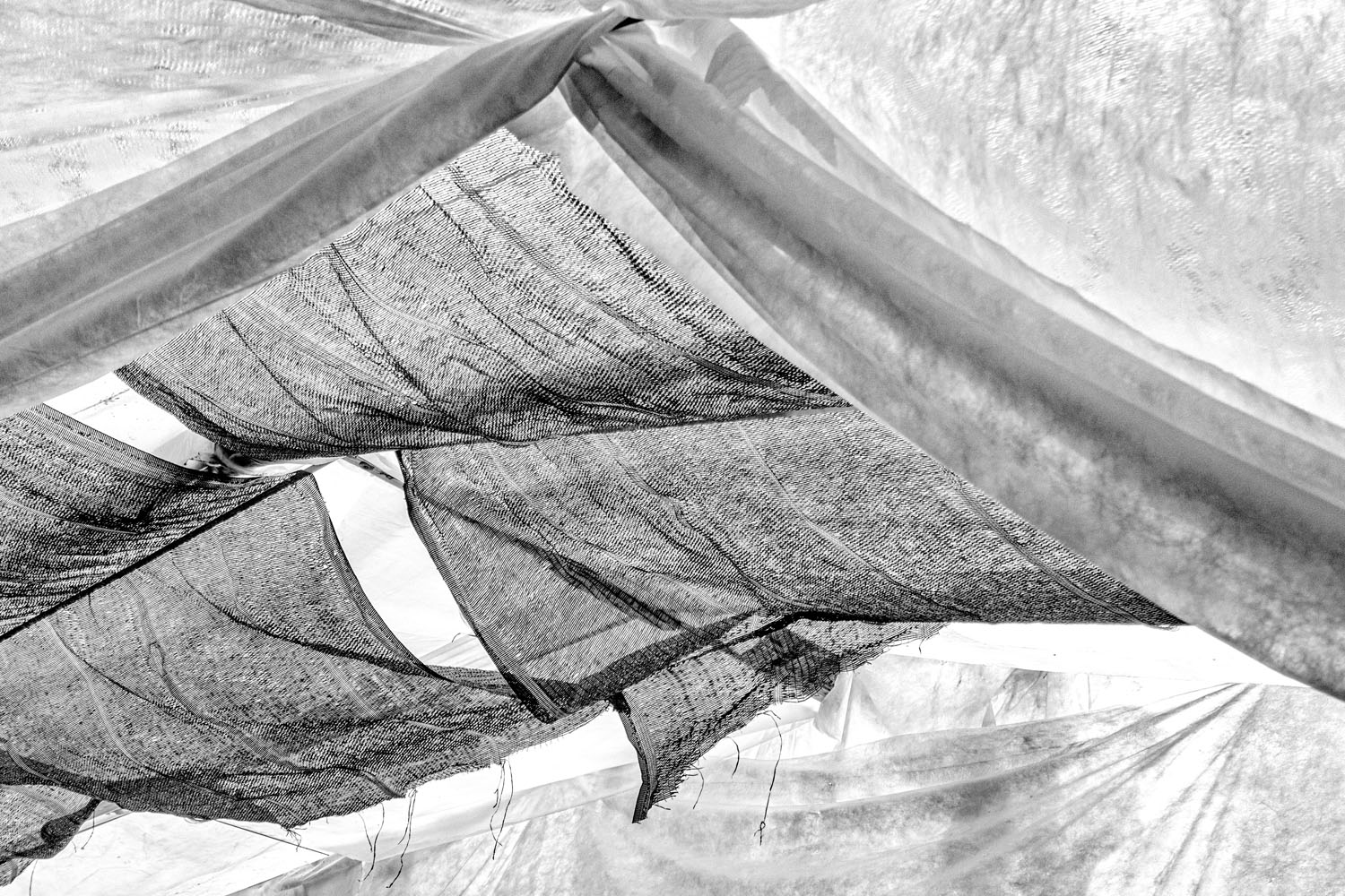 Mark Wegner, Photographer - www.markwegner.com