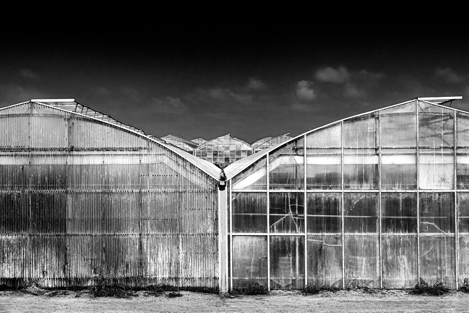 Mark Wegner, Photographer - www.markwegner.com