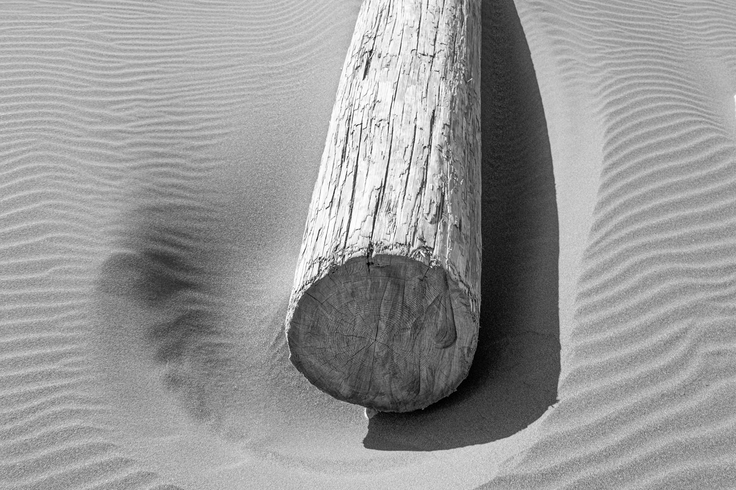 Mark Wegner, Photographer - www.markwegner.com