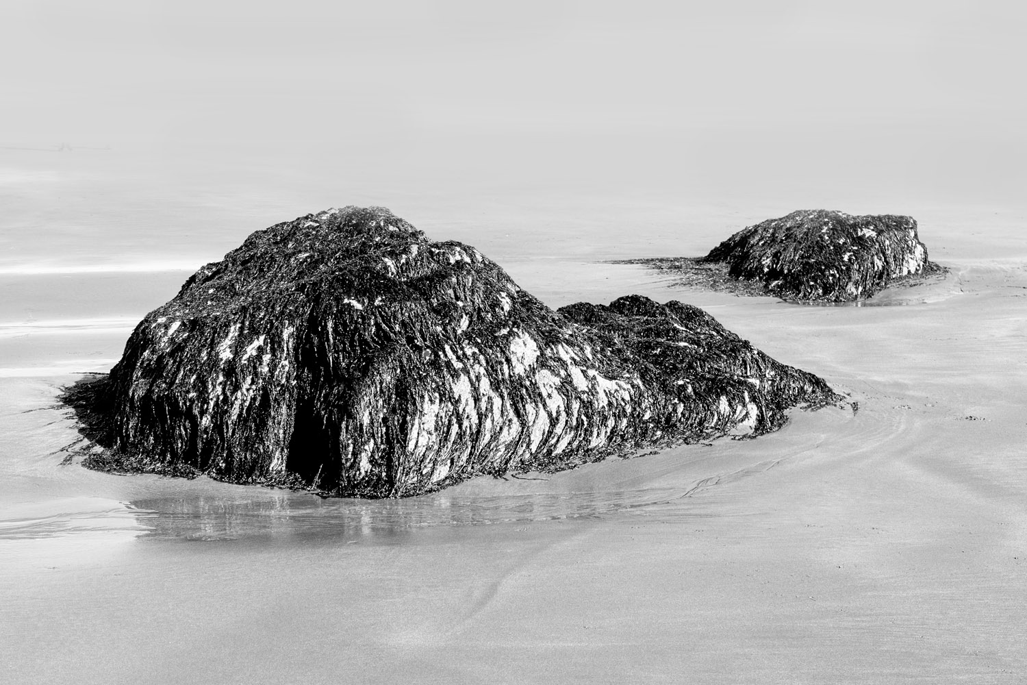 Mark Wegner, Photographer - www.markwegner.com