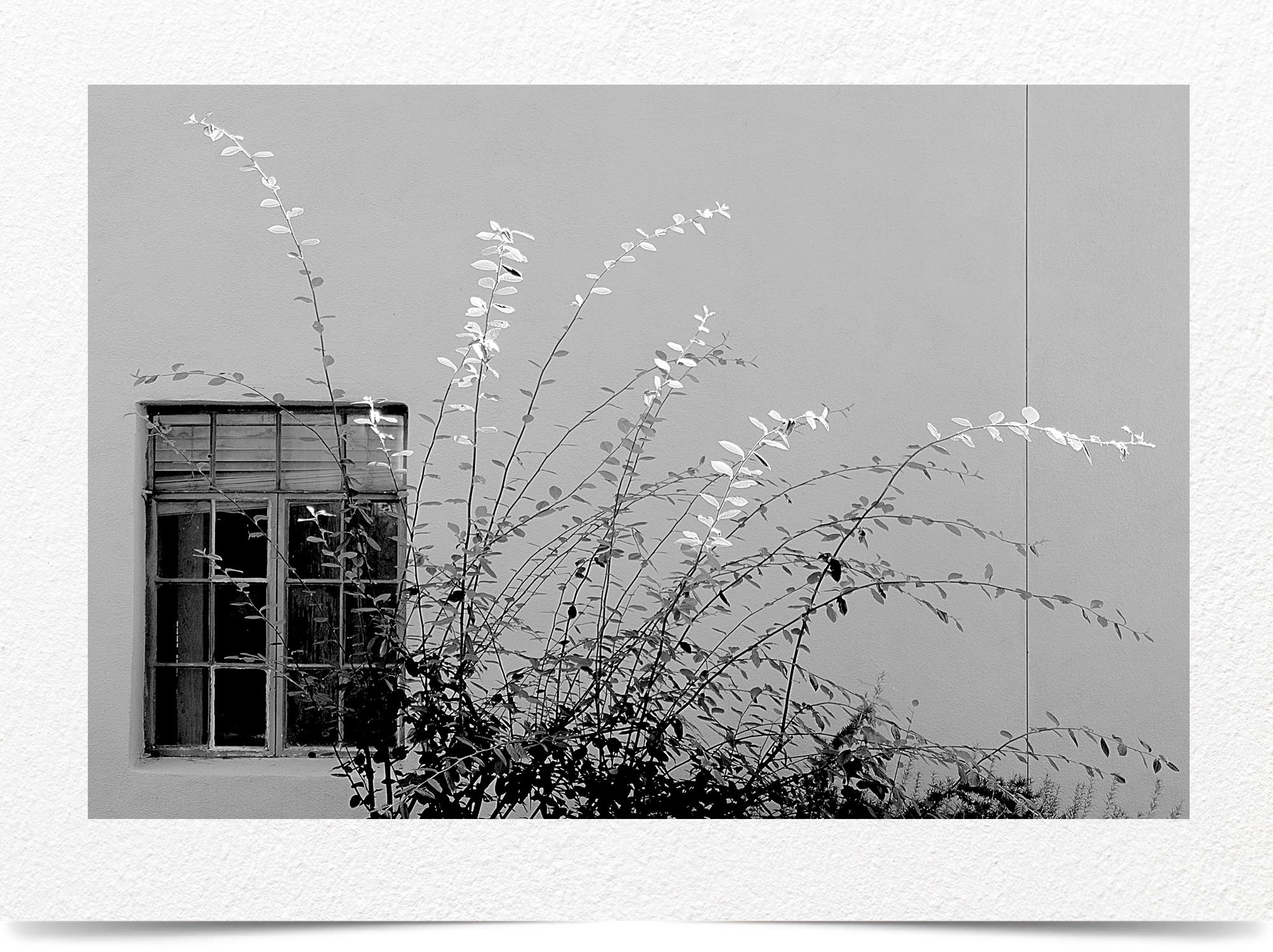 Mark Wegner, Photographer - www.markwegner.com