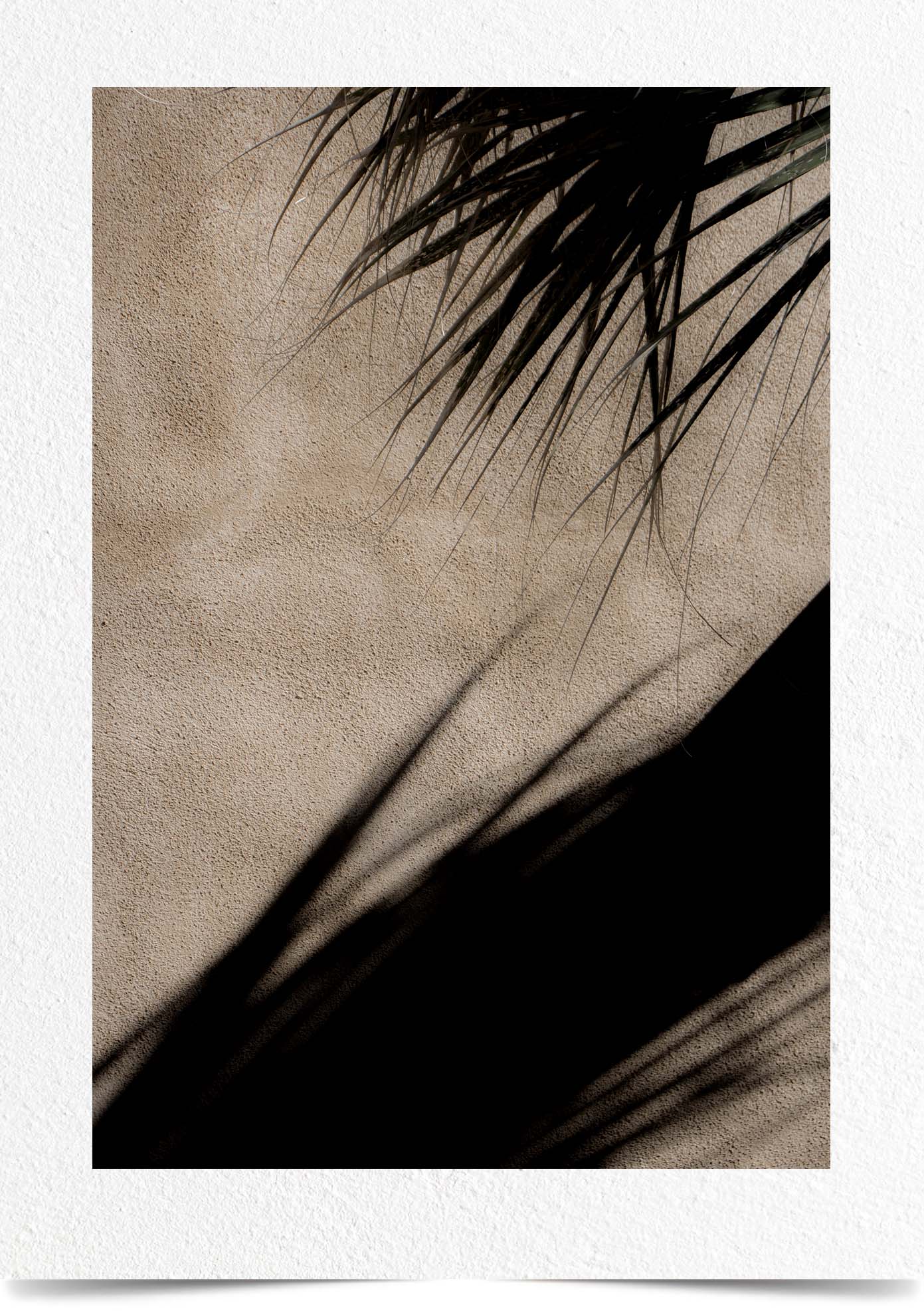 Mark Wegner, Photographer - www.markwegner.com