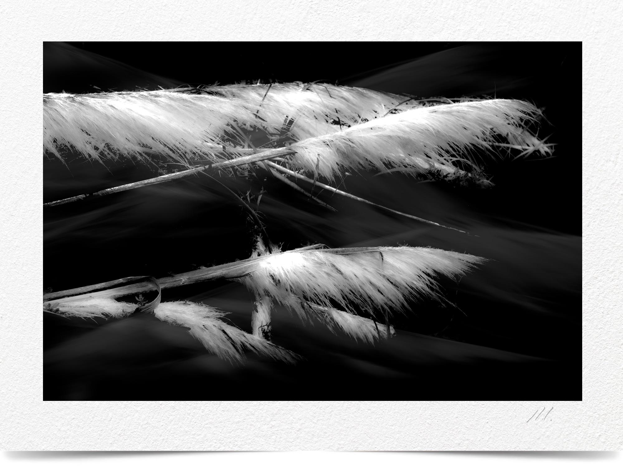 Mark Wegner, Photographer - www.markwegner.com