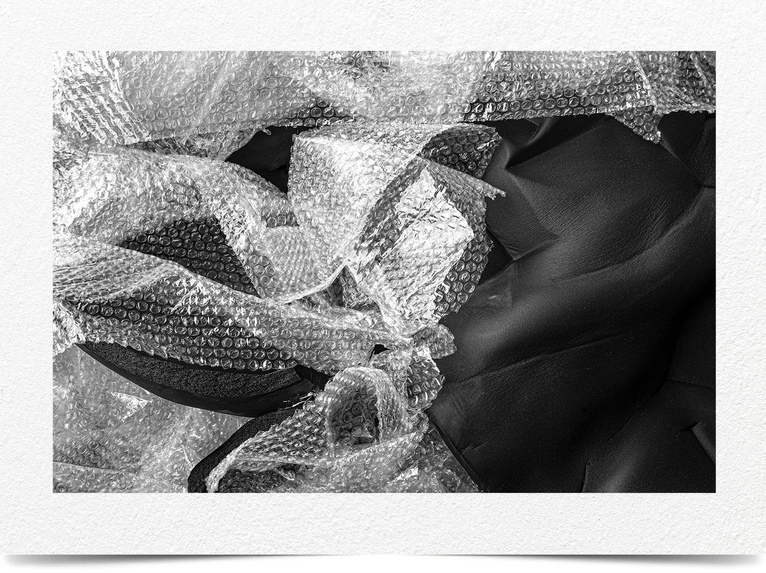 Mark Wegner, Photographer - www.markwegner.com