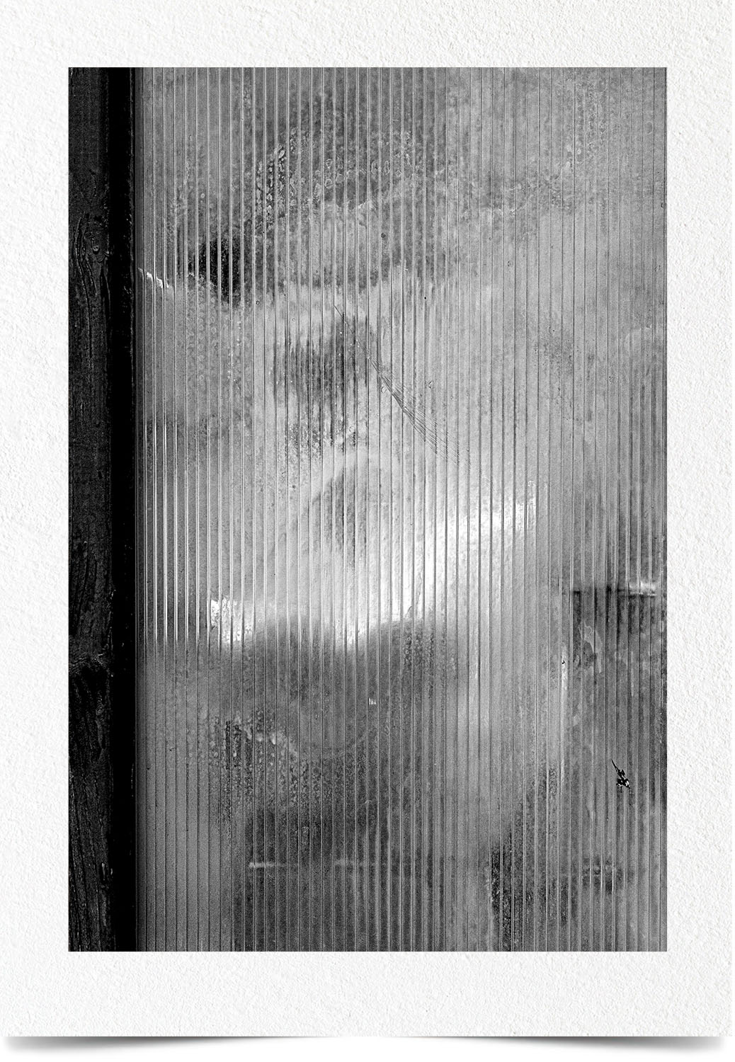 Mark Wegner, Photographer - www.markwegner.com