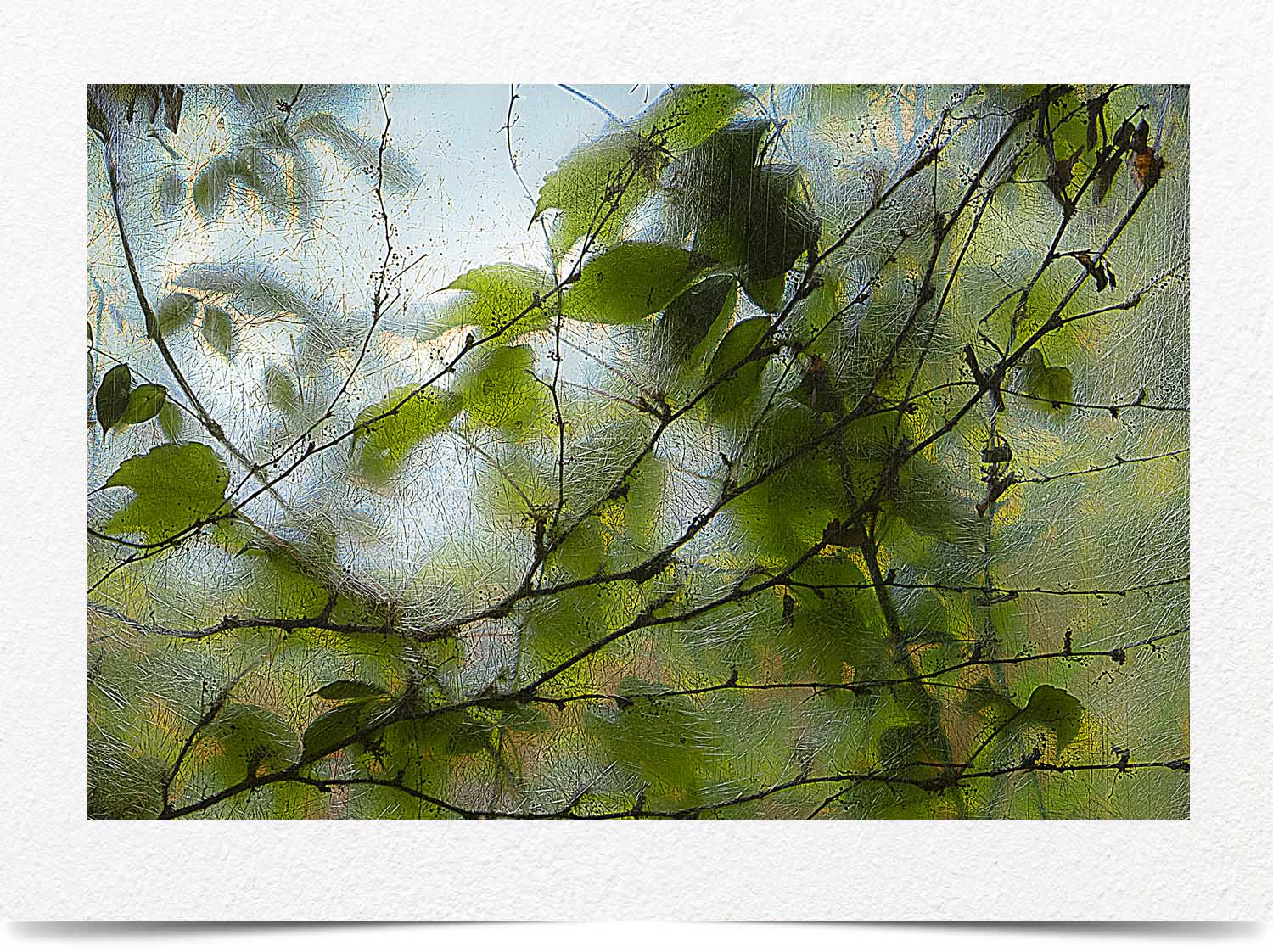 Mark Wegner, Photographer - www.markwegner.com