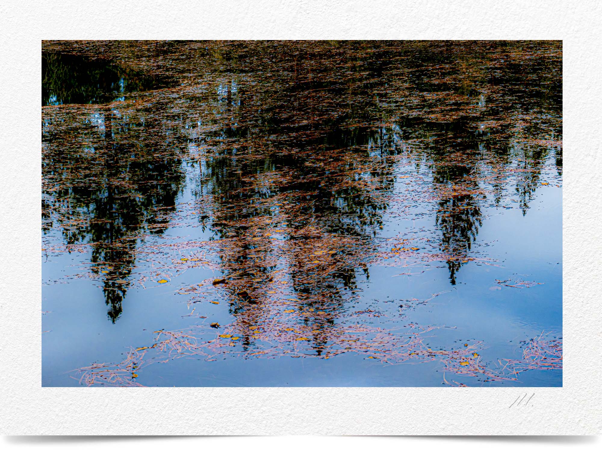 Mark Wegner, Painter/Photographer - www.markwegner.com