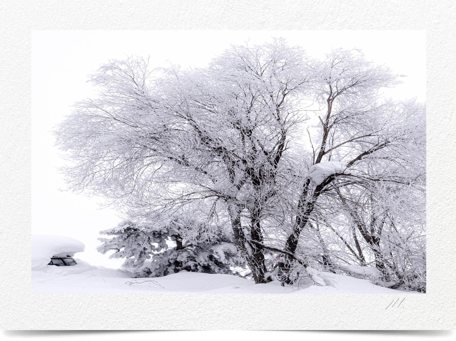 Mark Wegner, Painter/Photographer - www.markwegner.com