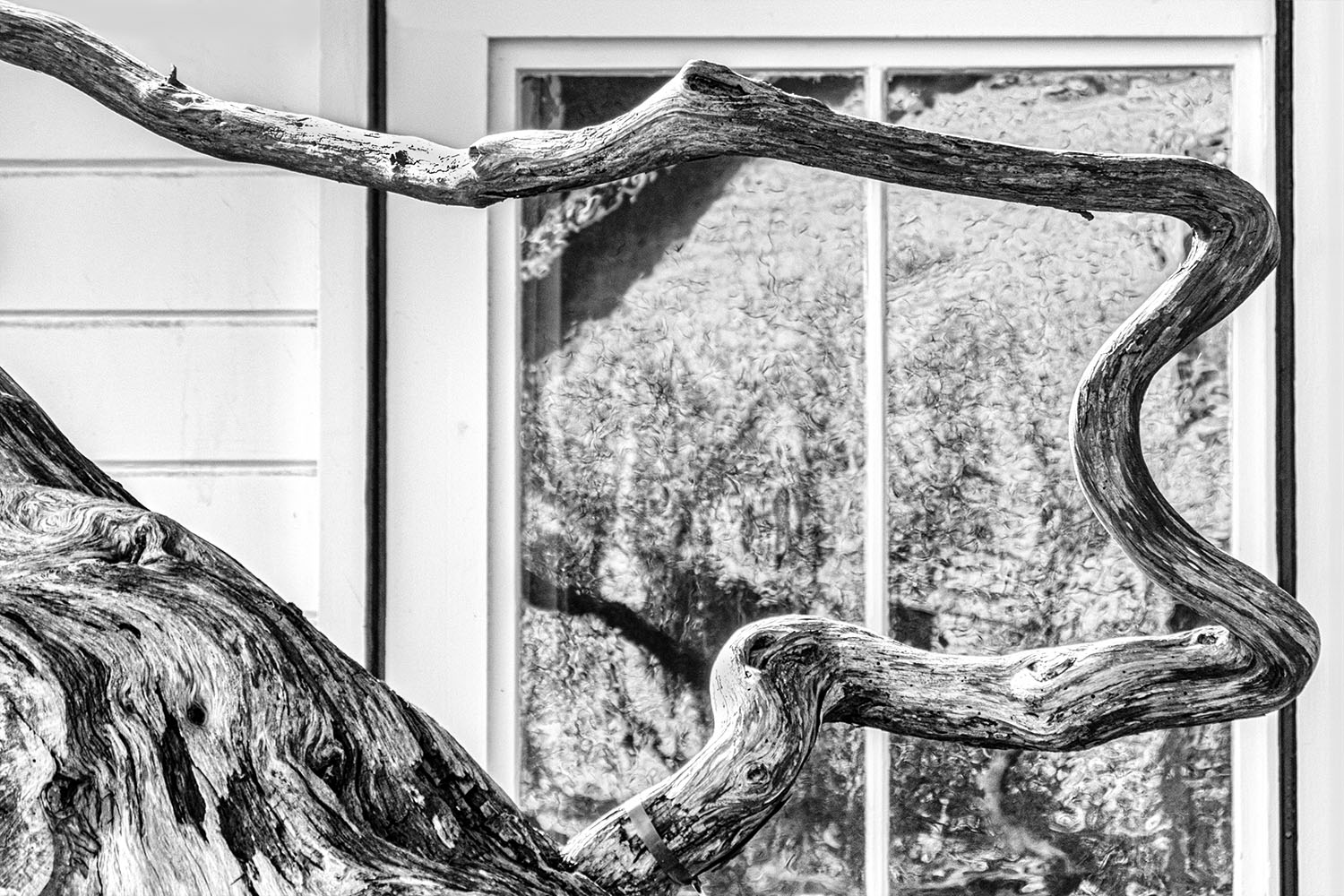 Mark Wegner, Painter/Photographer - www.markwegner.com