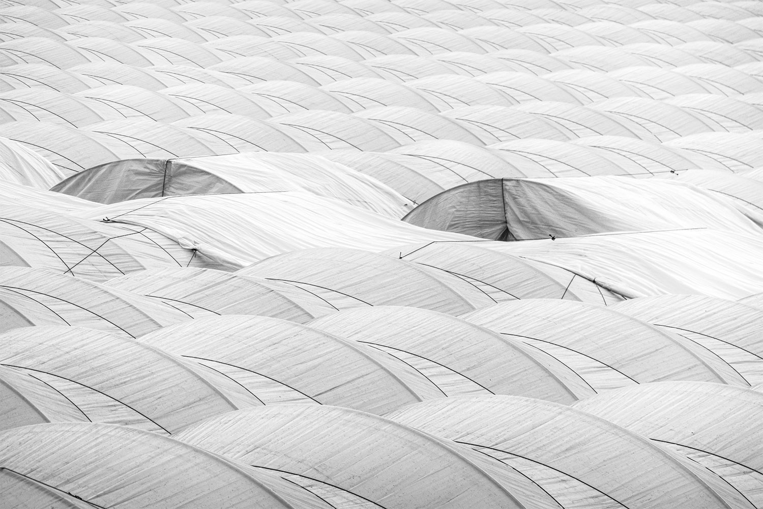 Mark Wegner, Painter/Photographer - www.markwegner.com