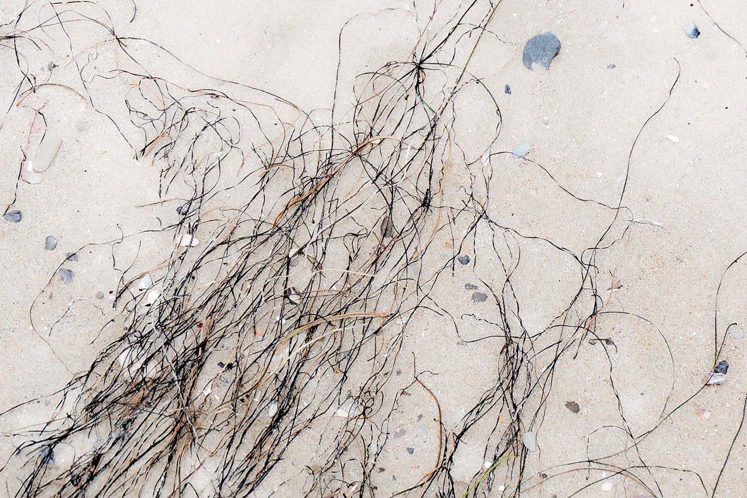 Mark Wegner, Painter/Photographer - www.markwegner.com