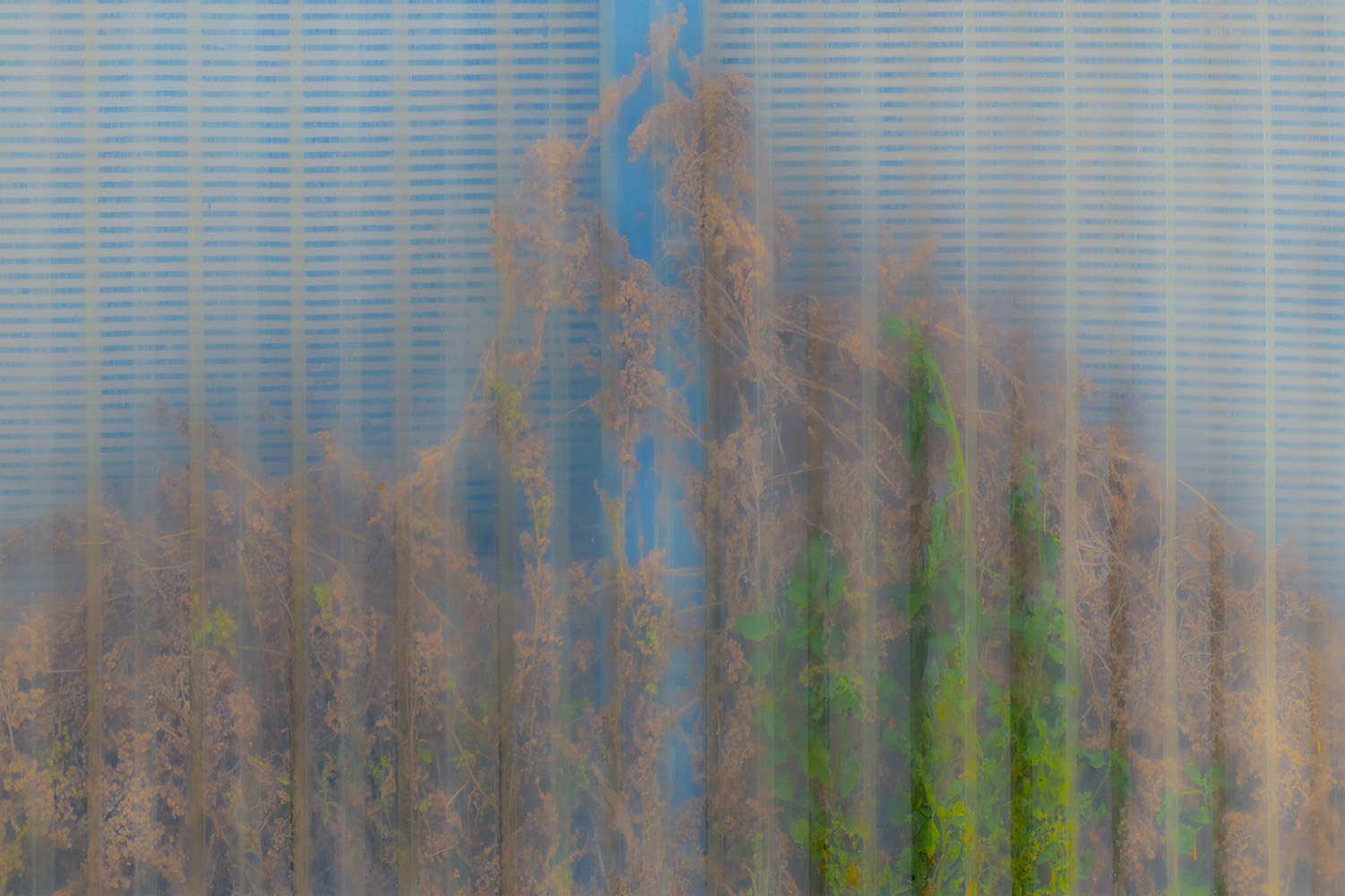 Mark Wegner, Painter/Photographer - www.markwegner.com