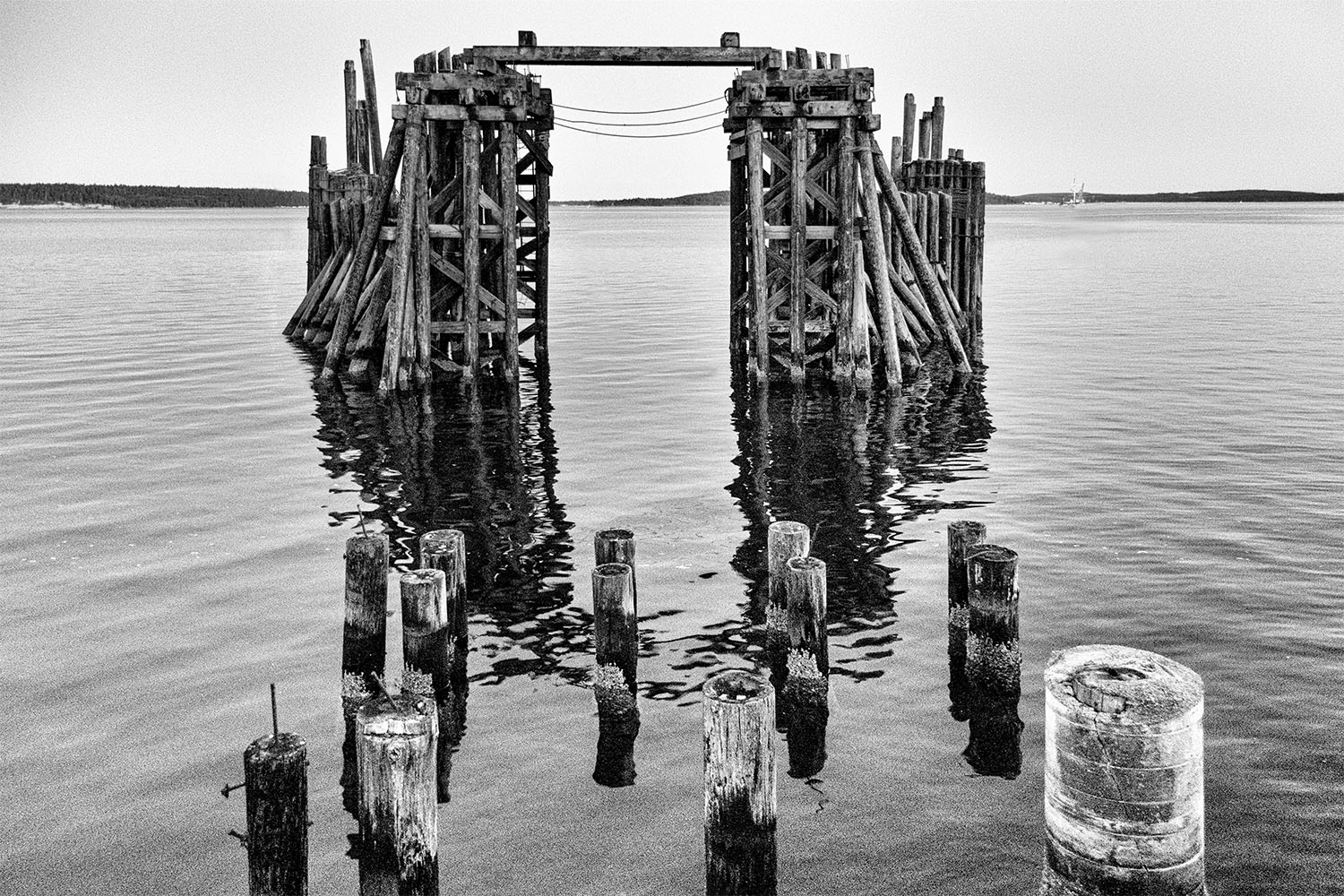 Mark Wegner, Painter/Photographer - www.markwegner.com