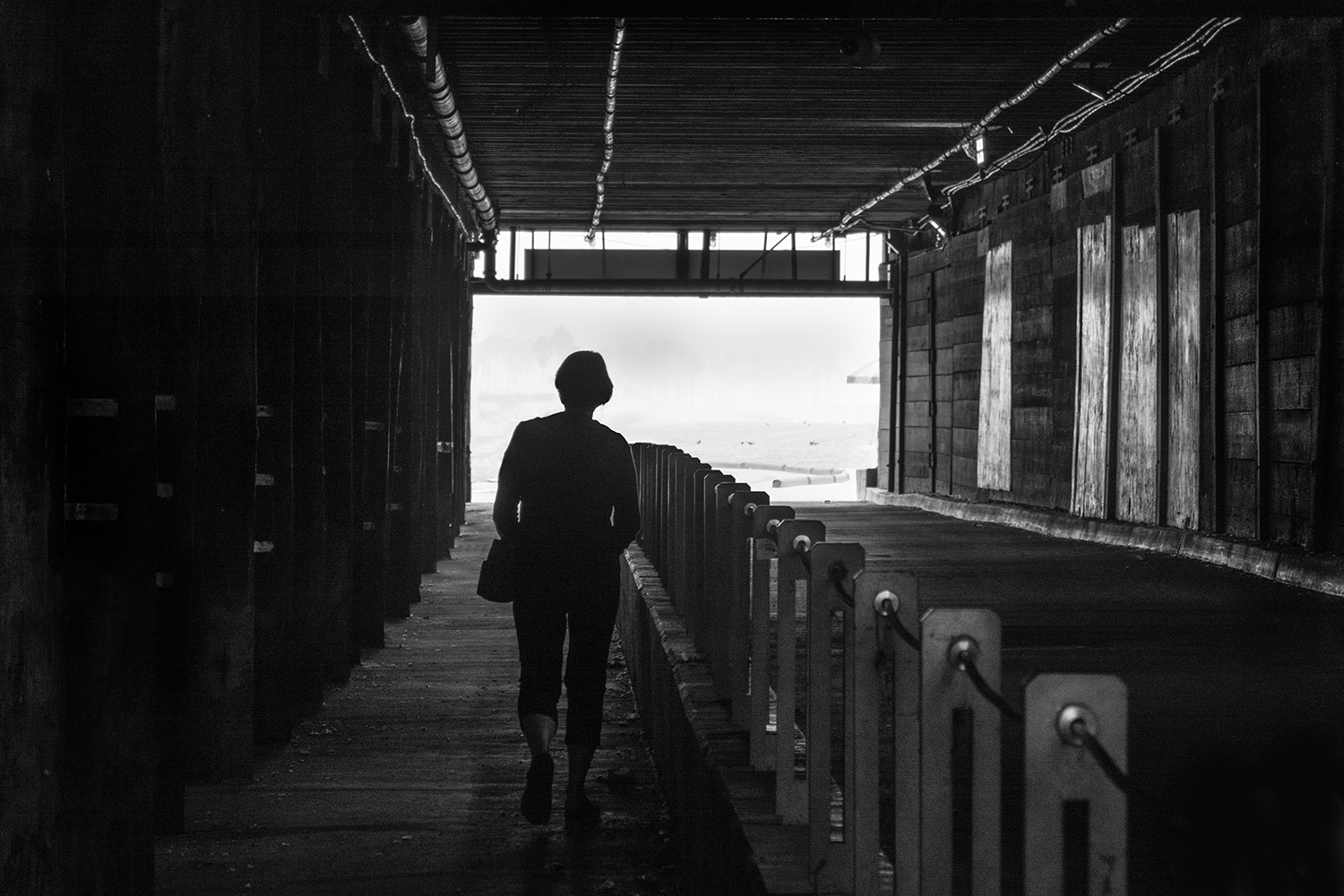 Mark Wegner, Painter/Photographer - www.markwegner.com