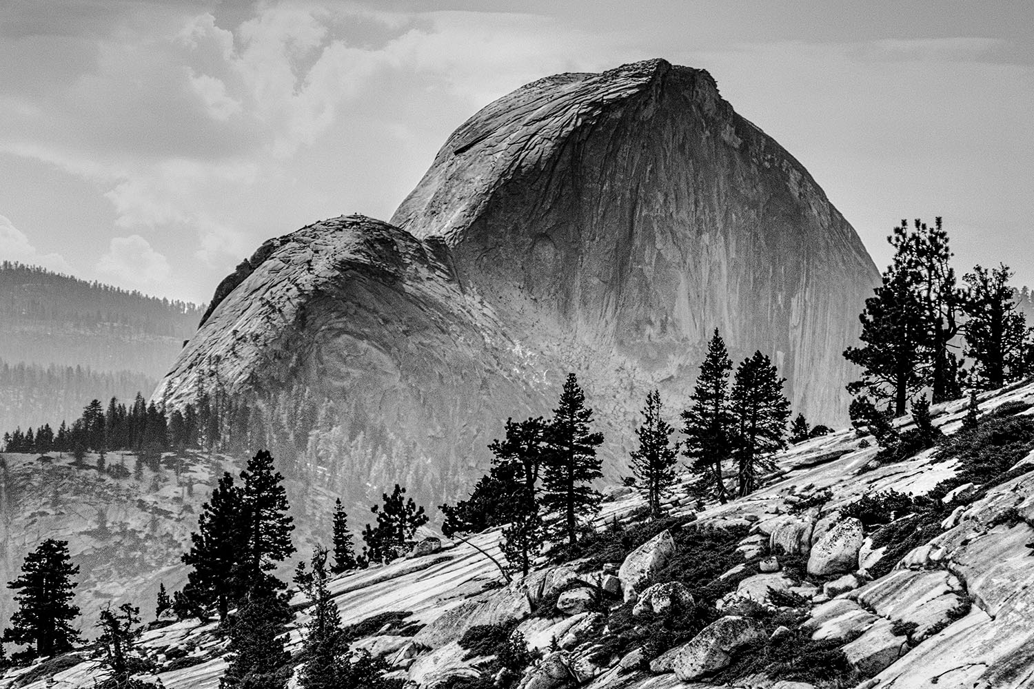 Mark Wegner, Painter/Photographer - www.markwegner.com
