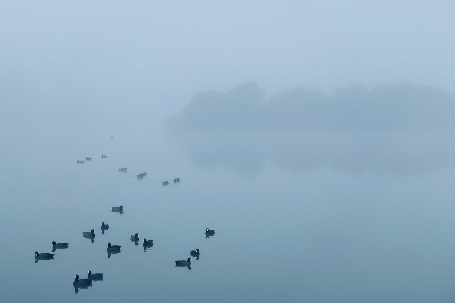 Mark Wegner, Painter/Photographer - www.markwegner.com