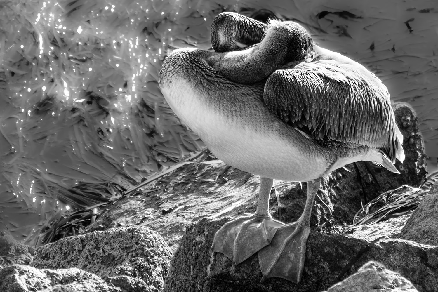 Mark Wegner, Painter/Photographer - www.markwegner.com