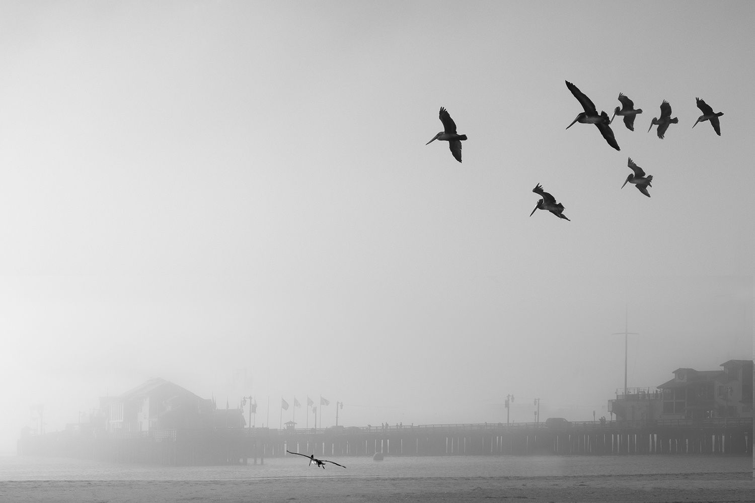 Mark Wegner, Painter/Photographer - www.markwegner.com