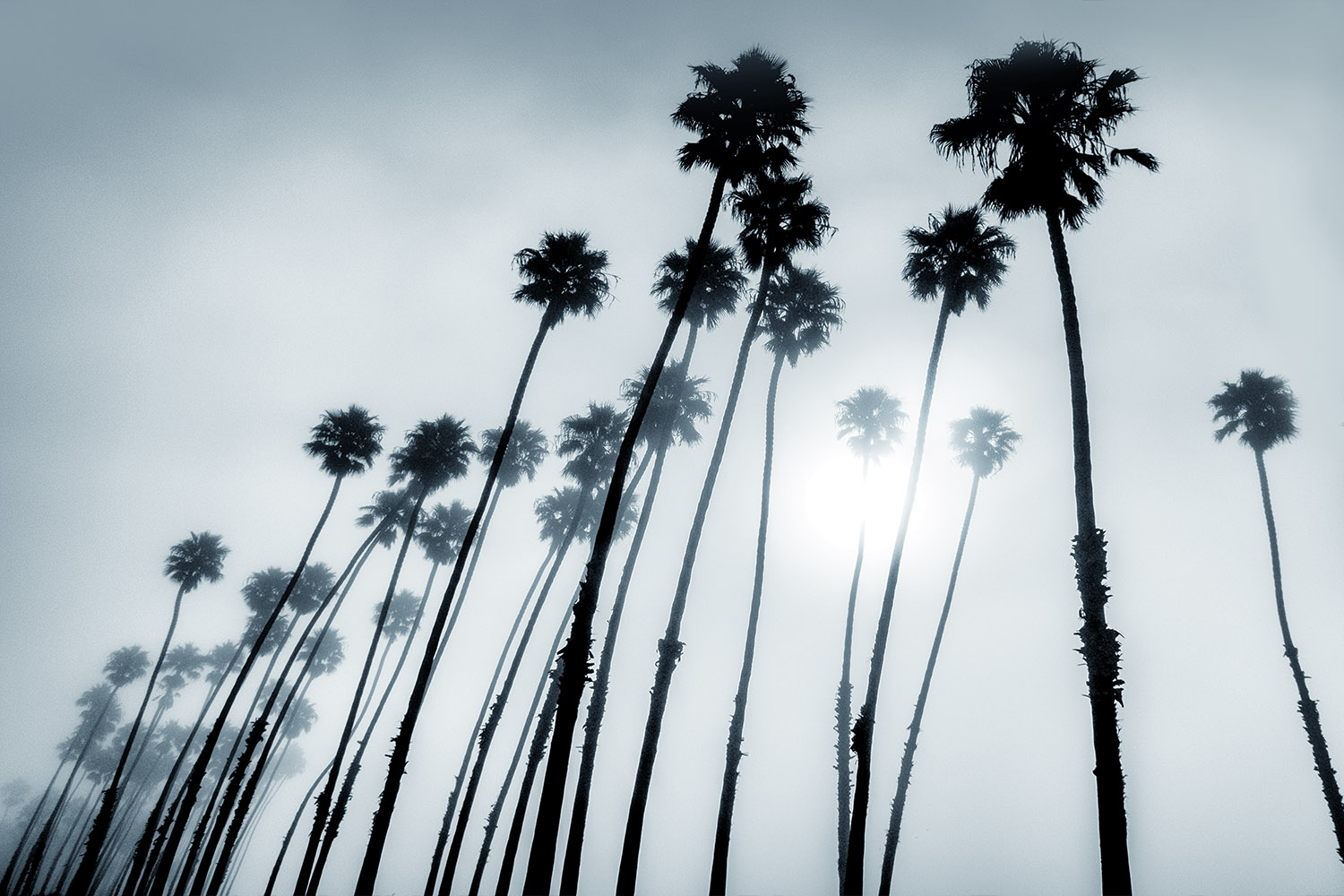 Mark Wegner, Painter/Photographer - www.markwegner.com