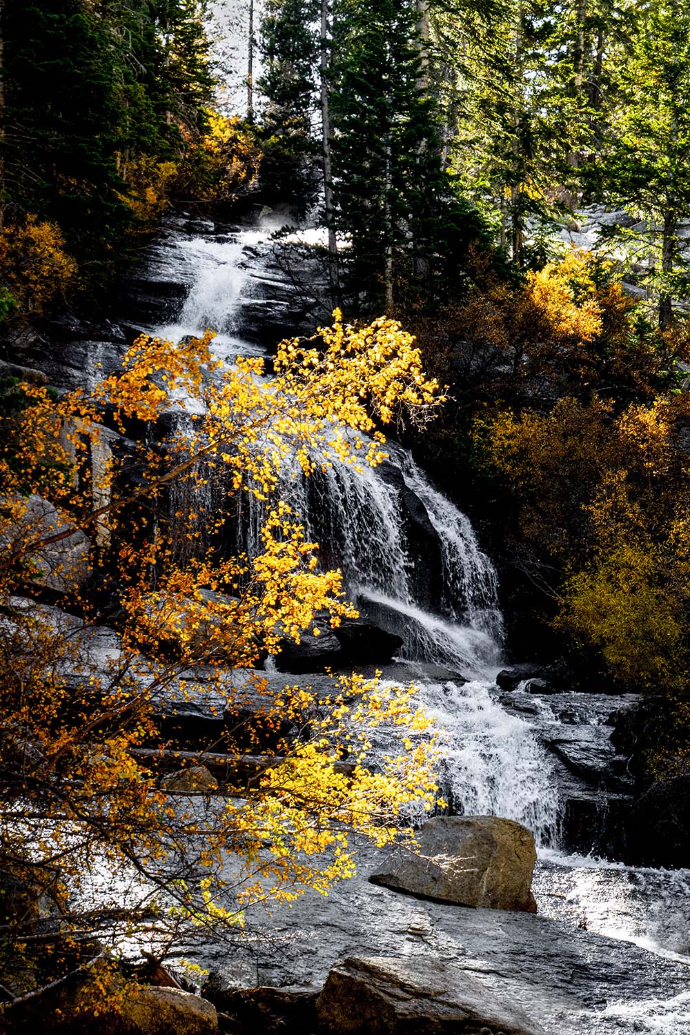 Mark Wegner, Painter/Photographer - www.markwegner.com